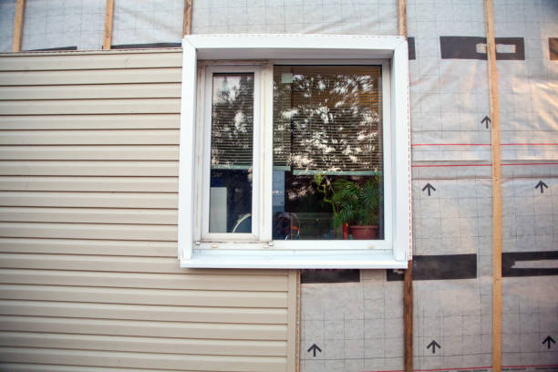 Best Vinyl Siding Installation  in St Elmo, IL